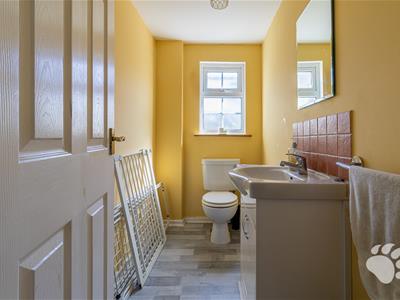 Picture 26